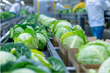 Organic Food & Beverage