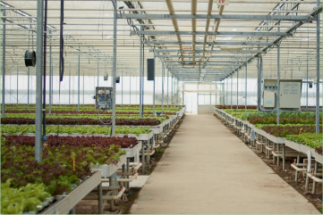 Sustainable Agriculture